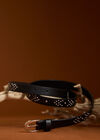 Silver Rivet Studded Belt, Black, large