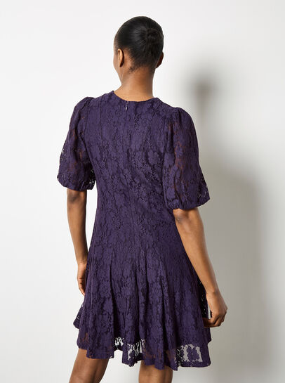 Floral Lace Skater Mini Dress