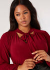 Curve Tie Neck Jersey Top, Burgundy, large