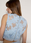 Floral Mesh Lace Crop Top, Sky Blue, large