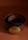 90s Style Brass BuckLeather Belt, Brown, large