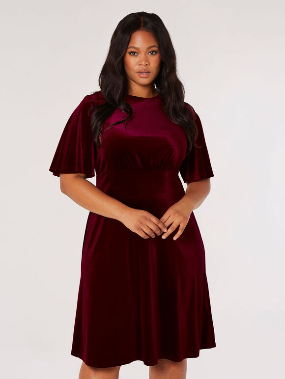 Curve Velvet Fit And Flare Mini Dress | Apricot Clothing