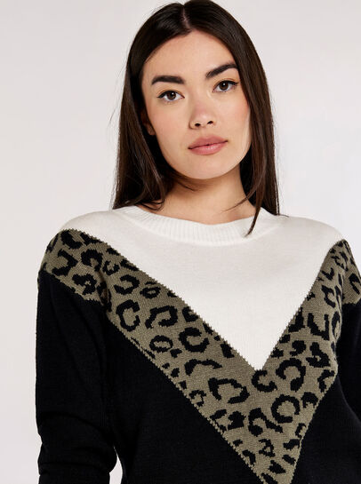 Animal Chevron Jumper