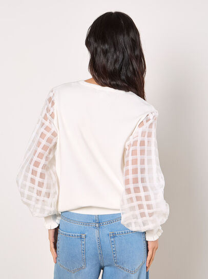 Contrast Organza Sleeves Jumper
