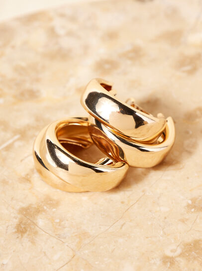 Double Hoop Gold Tone Earrings 
