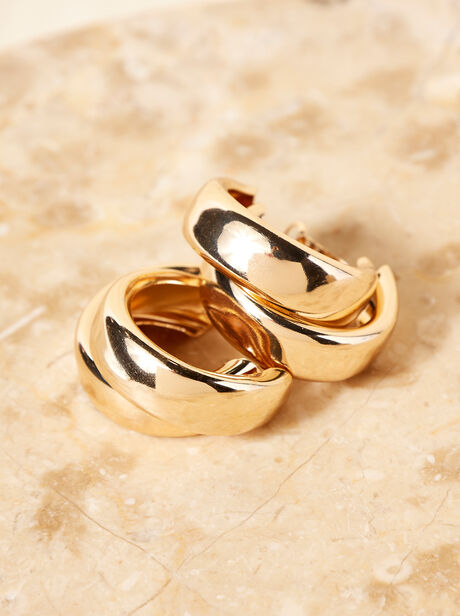 Double Hoop Gold Tone Earrings 