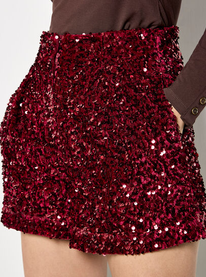 Sequin Velvet Shorts