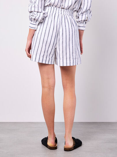 Linen Blend Stripe Shorts
