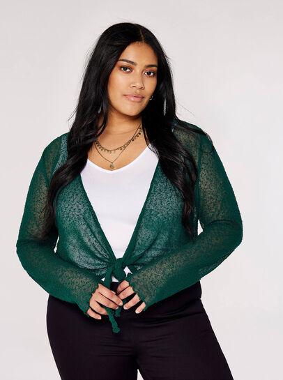 Curve Lightweight Sheer Knitted Shrug