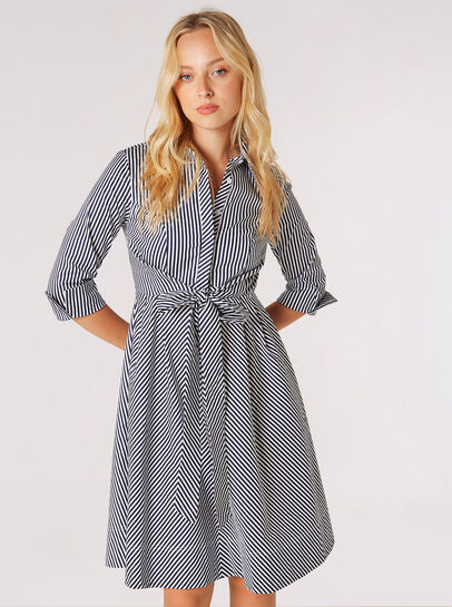 Cotton Stripe Shirt Mini Dress