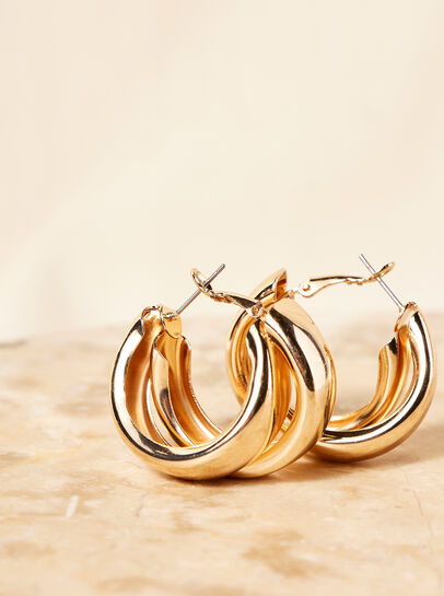 Double Hoop Gold Tone Earrings 