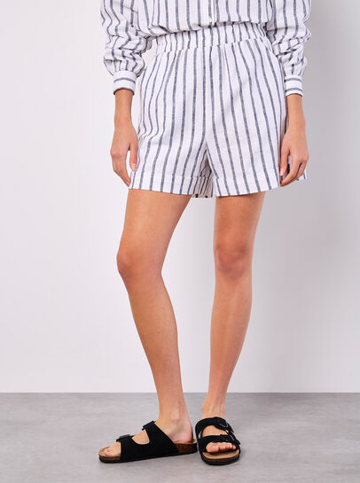 Linen Blend Stripe Shorts