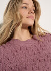 Scallop Pointelle Knit Jumper, Pink, large