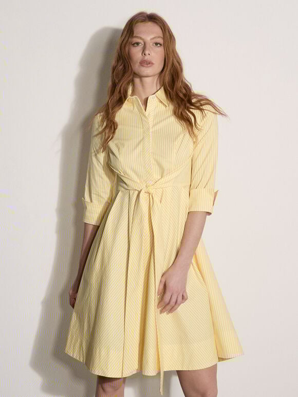 Cotton Stripe Shirt Mini Dress, Yellow, large