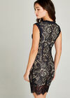 Navy Lace Scallop Bodycon Dress, Navy, large