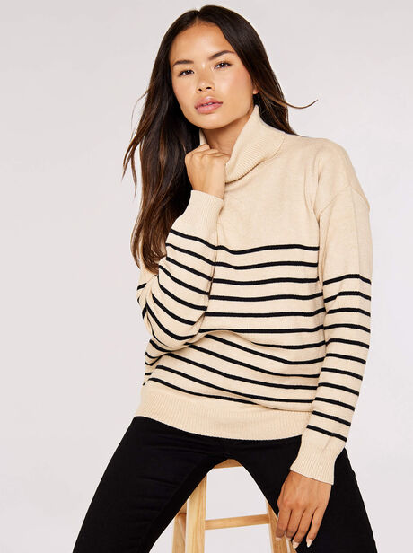 Striped Roll Neck Jumper