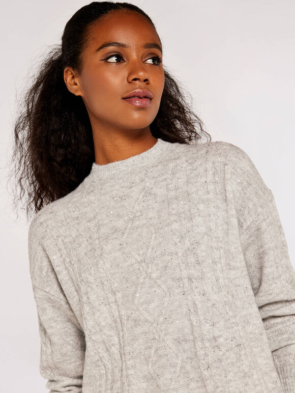 Sequin Embellished Batwing Jumper | Apricot Clothing