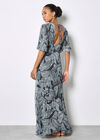 Floral Chiffon Shimmer Maxi Dress, Navy, large