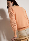 Lace Mesh Jumper, Peach, large