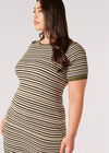 Curve Stripe Knit Midi Dress, Khaki, large