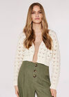 Pointelle Cropped Shrug, Cream, large