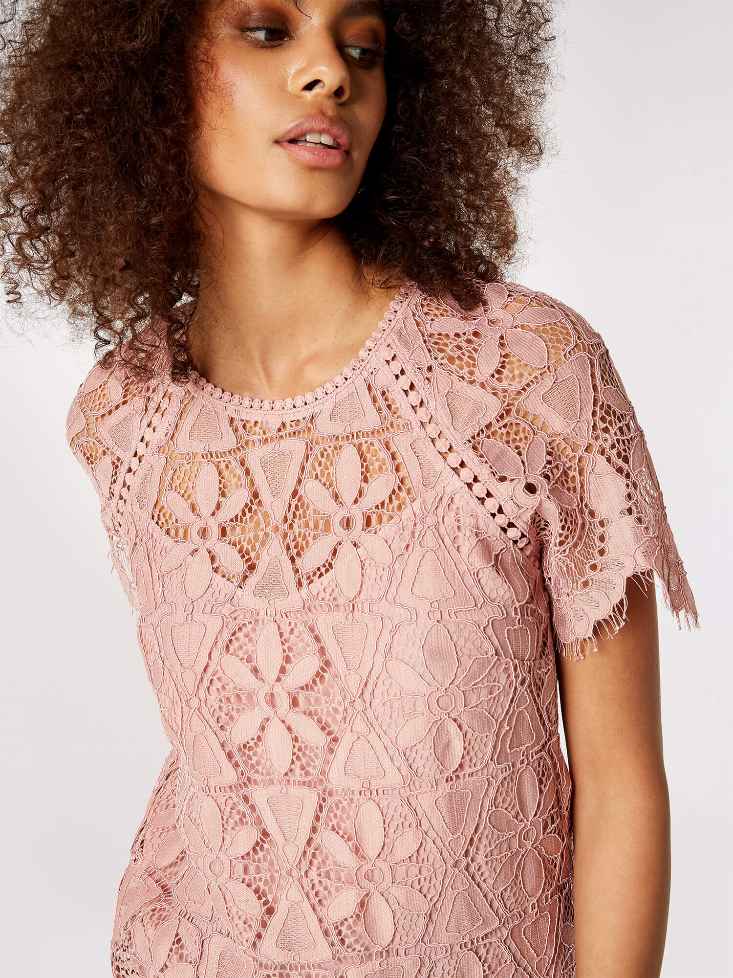 Guipure Scallop Lace Top