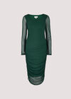 Micro Dot  Bodycon Dress, Green, large