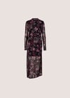 Floral Mesh Midi Dress, Black, large
