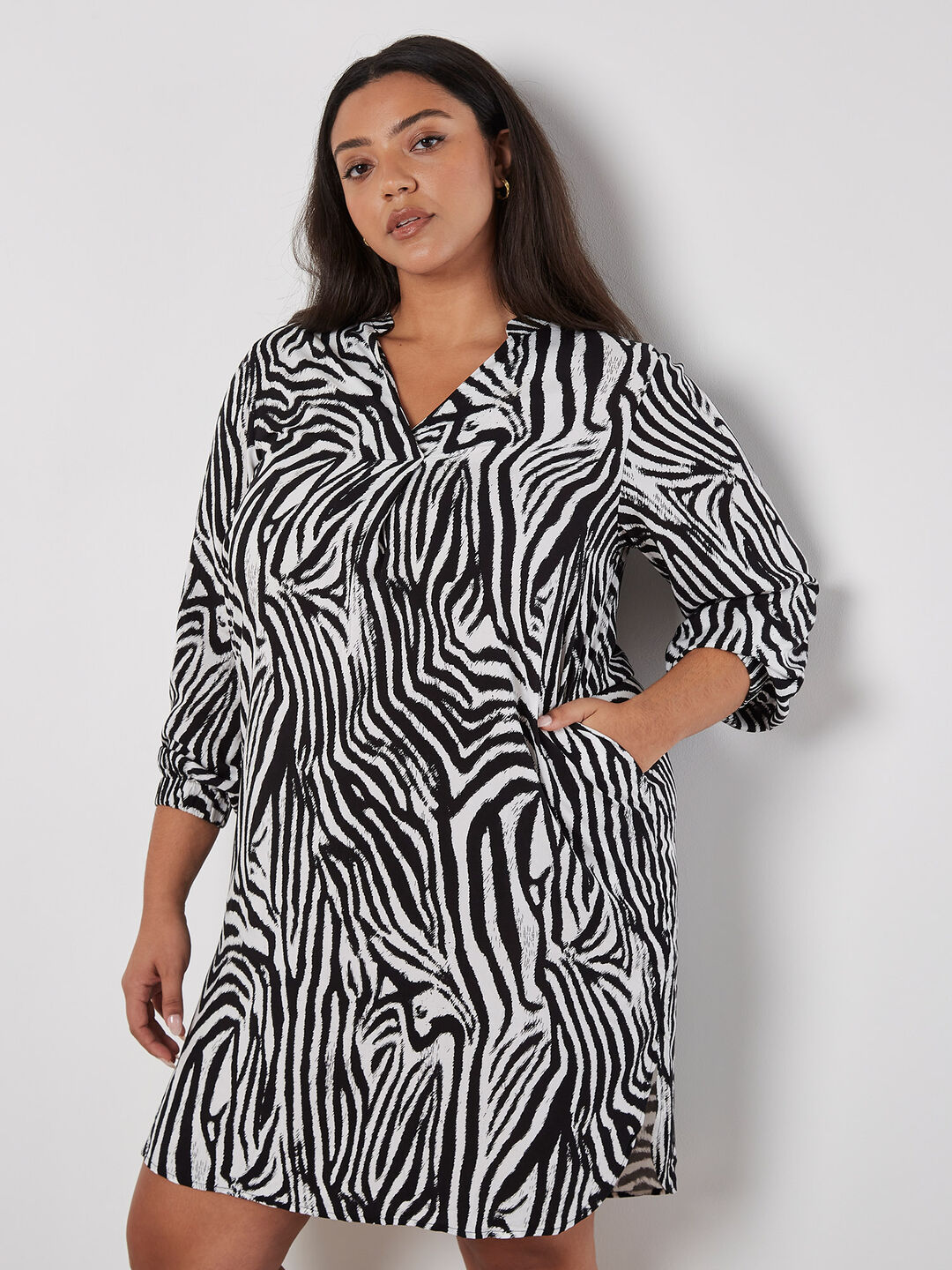 Image of Curve Zebra Print Mini Dress