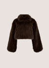 Luxe Faux Fur Short Jacket, Brown, large