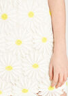 Daisy Lace Sleeveless Shift Dress, Cream, large