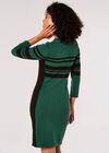 Stripe Panel Bodycon Mini Dress, Green, large