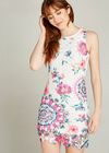 Spirograph And Rose Lace Shift Dress, Pink, large