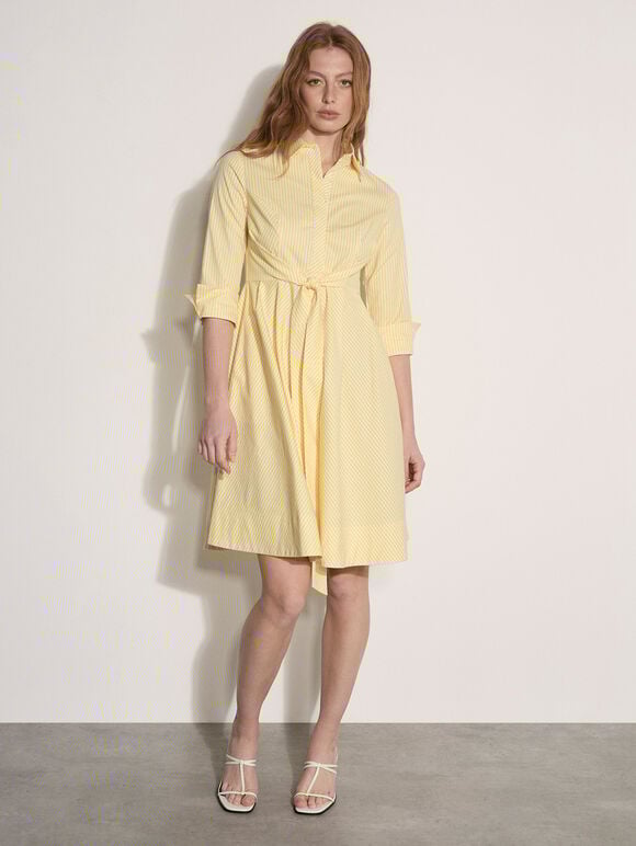 Cotton Stripe Shirt Mini Dress, Yellow, large