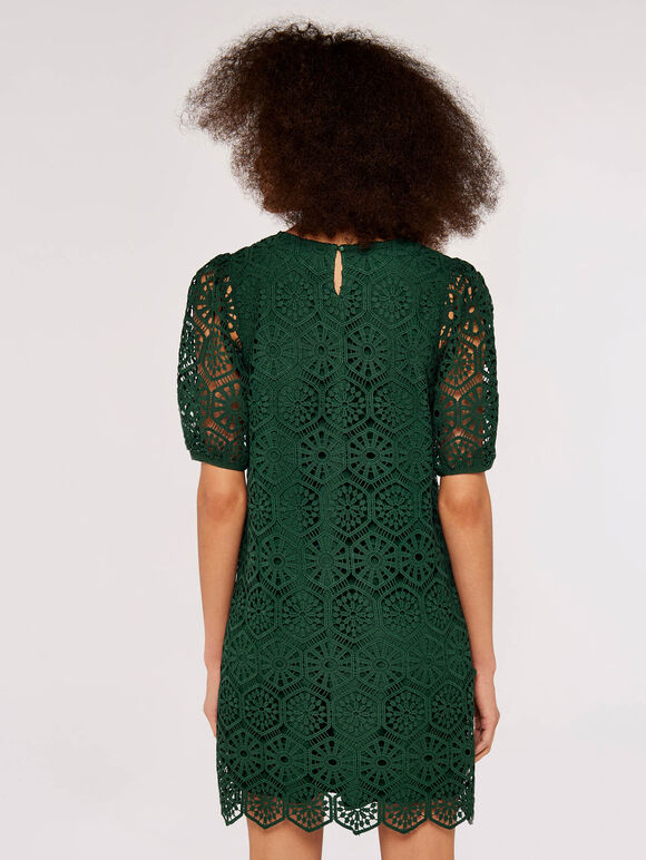 Geometric Lace Shift Dress, Green, large