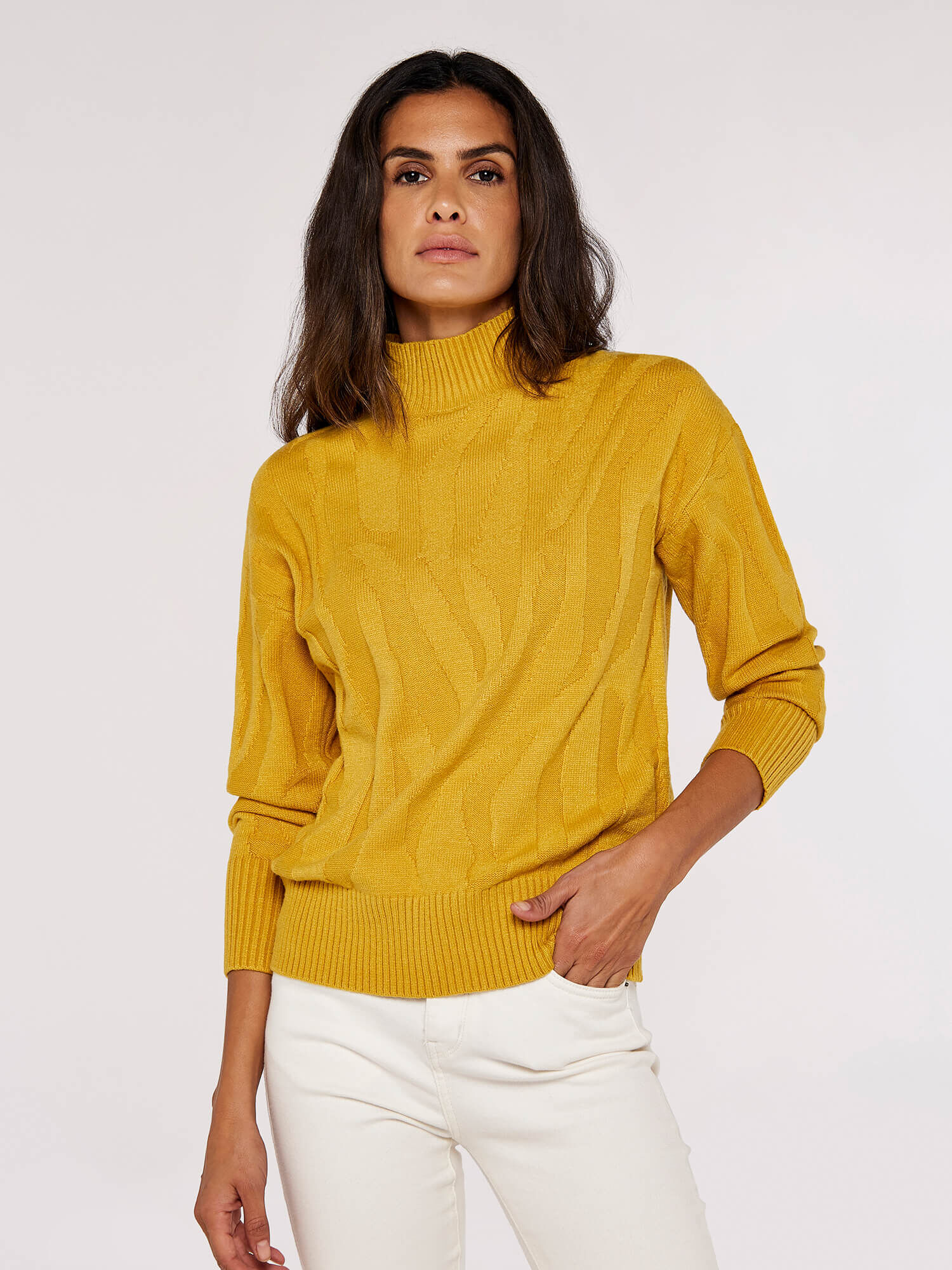 Mustard roll neck jumper womens hotsell