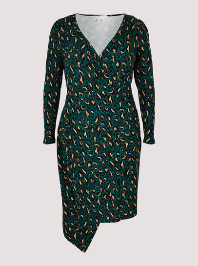 Curve Cheetah Wrap Mini Dress