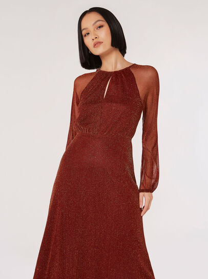 Metallic Mesh Maxi Dress