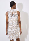 Lace Shift Mini Dress, White, large