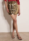 Multi Sequin A-Line Mini Skirt, Stone, large