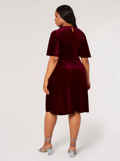 Curve Velvet Fit And Flare Mini Dress