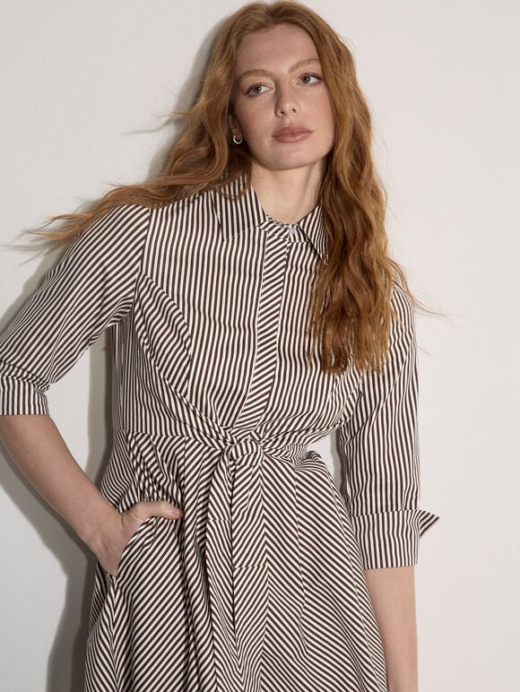 Cotton Stripe Shirt Mini Dress, Brown, large
