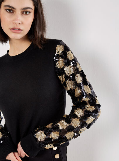 Sequin Arm Embellished Jumper