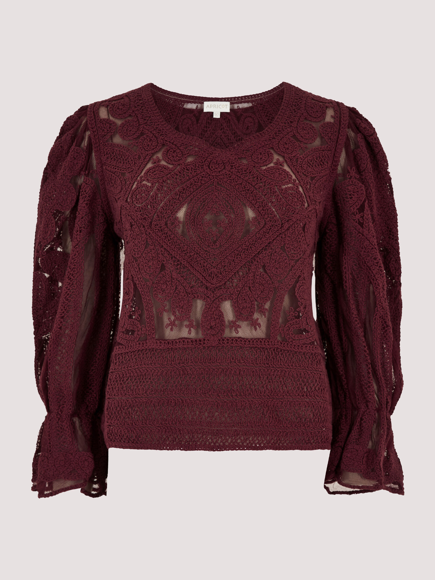 Cotton Embroidered Mesh Top Apricot Clothing