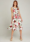 Rose Print Skater Dress, Cream, large