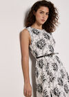 Rose Print Fit and Flare Midi Dress, White, large