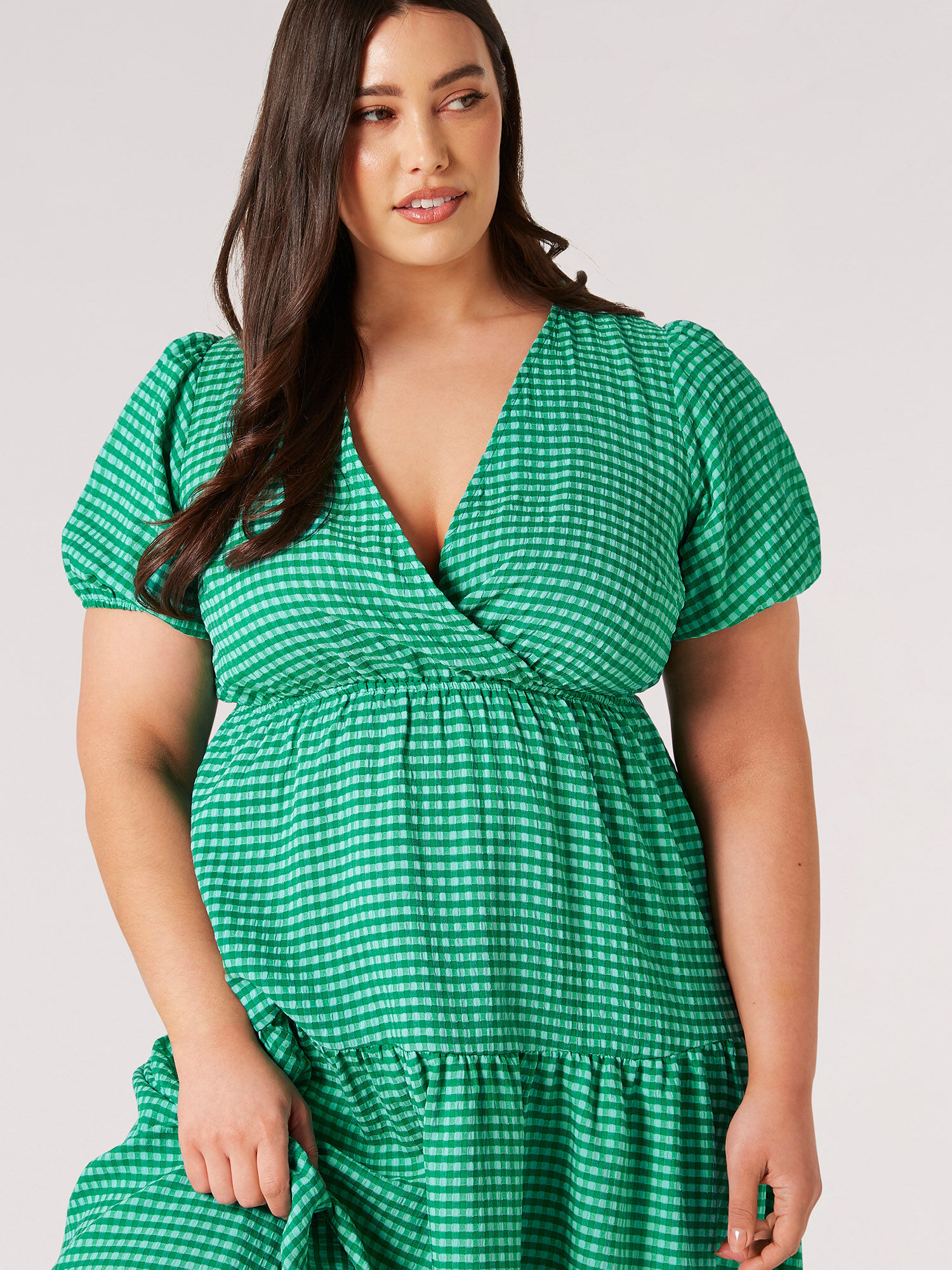 Plus gingham dress discount
