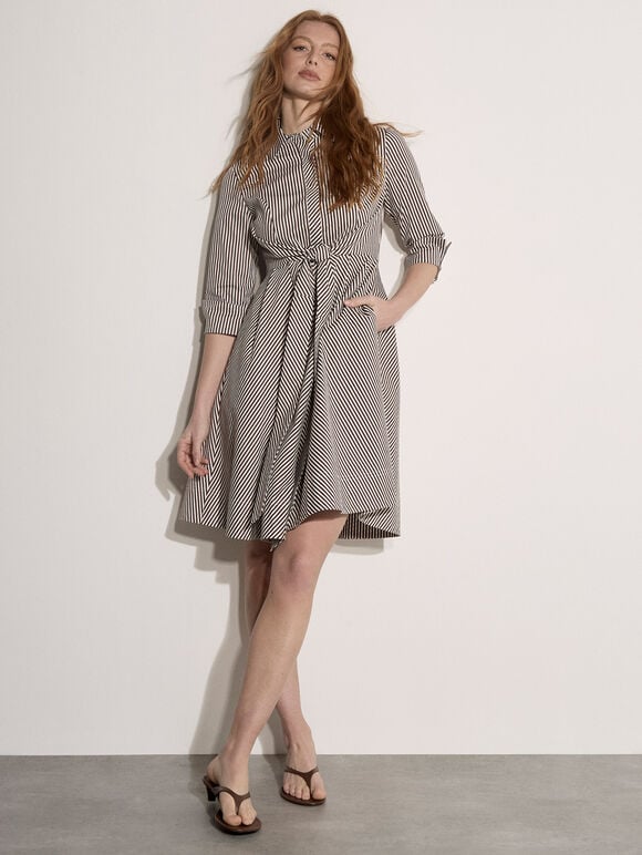 Cotton Stripe Shirt Mini Dress, Brown, large