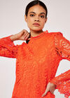 Scallop Lace Top, Orange, large