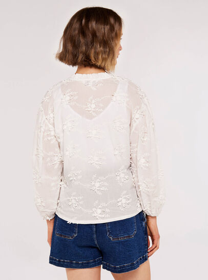 Embroided Volume Sleeve Top